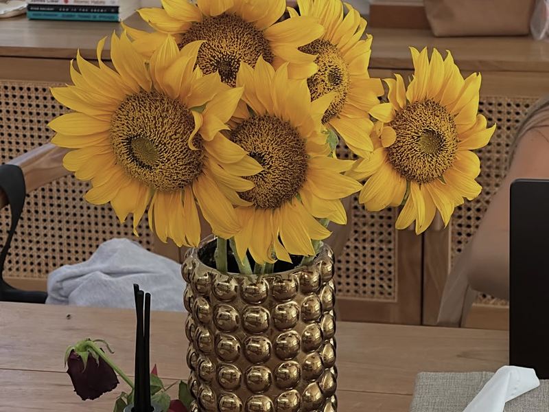 Sunflowers in a gold vase